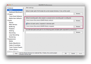 reaper-8-file-paths